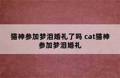 猫神参加梦泪婚礼了吗 cat猫神参加梦泪婚礼